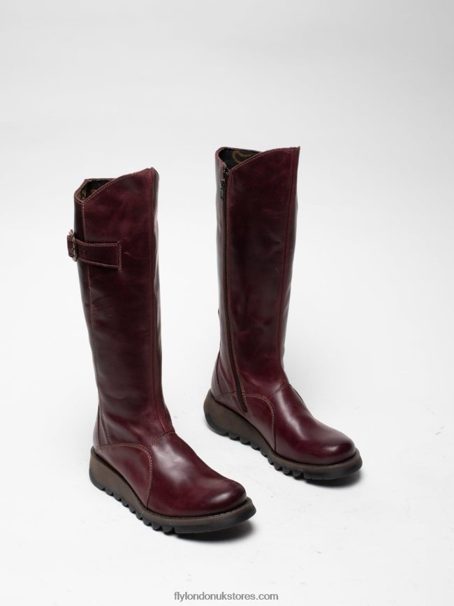 Zip Up Boots MOL 2 Women Fly London 4V24RT340 RUG PURPLE